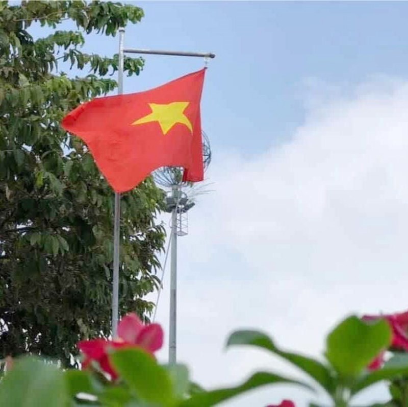 Ảnh đại diện